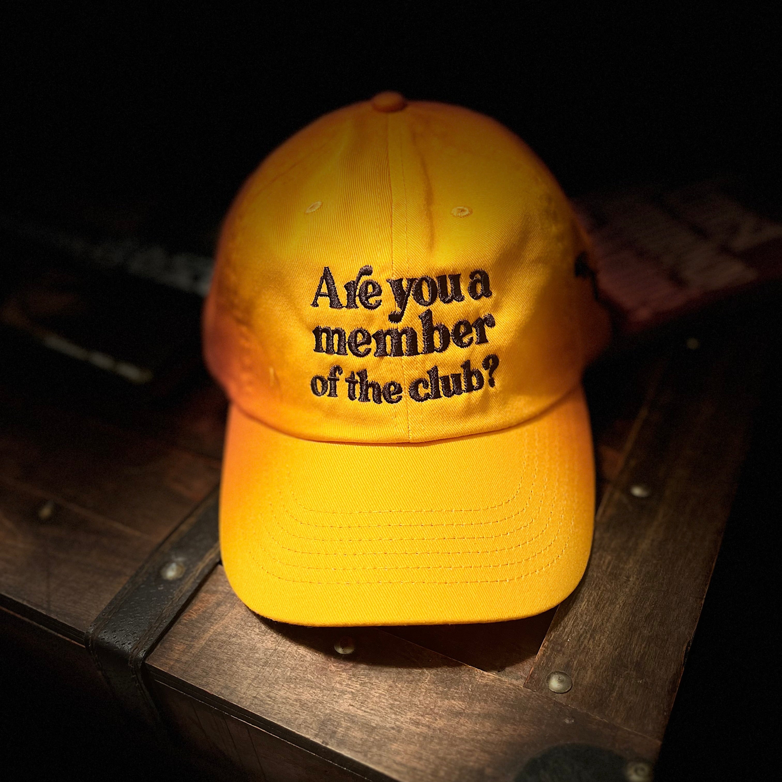 Are You a Member Dad Hat